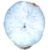 ágata azul ornamental - 0