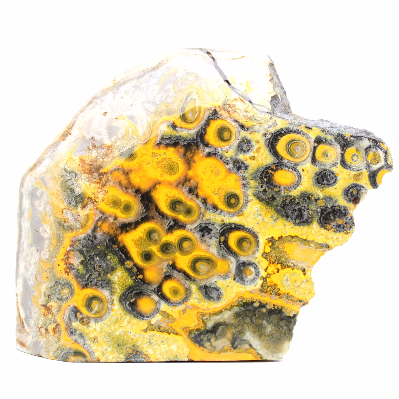 Jasper bumblebee indonésia