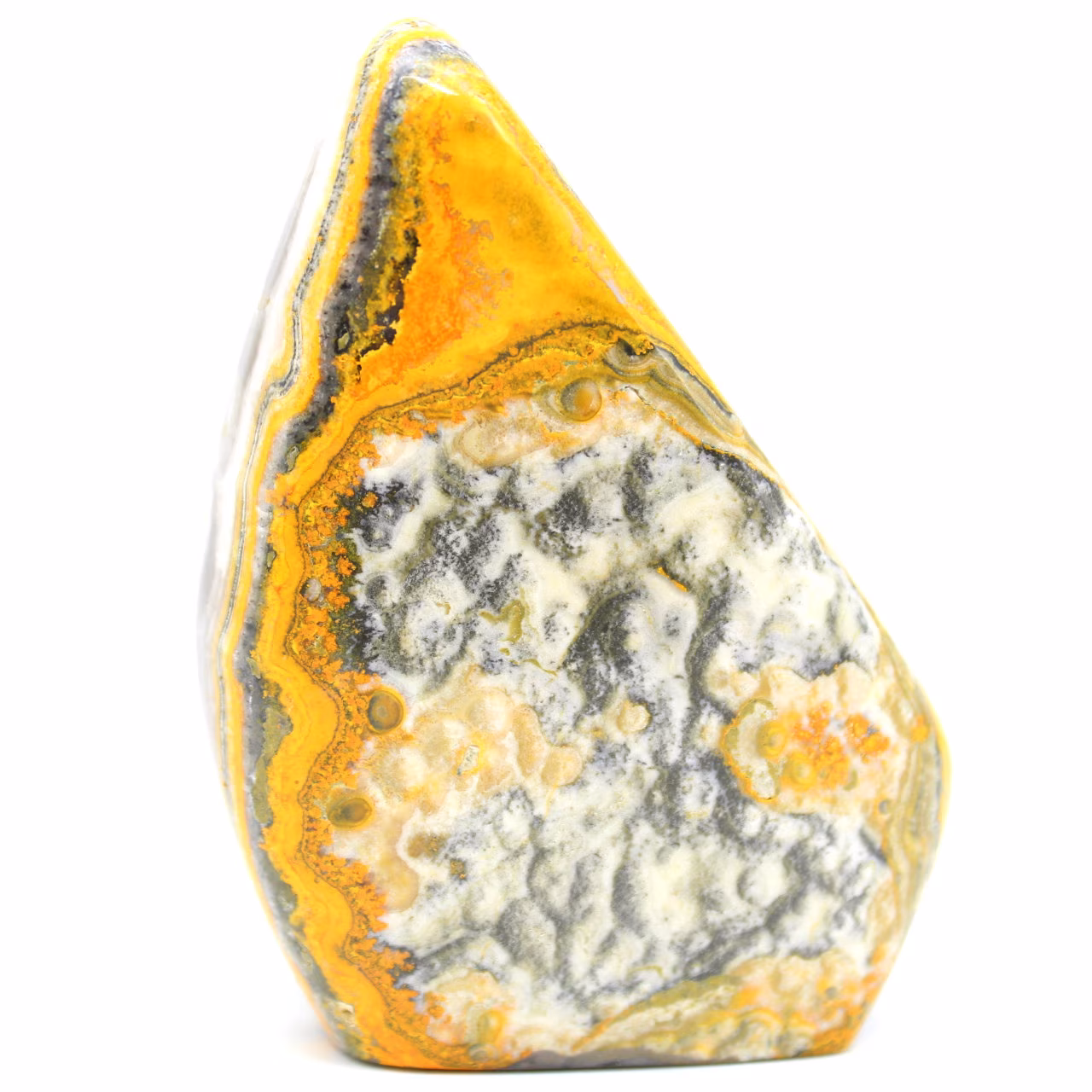Jasper bumblebee polido
