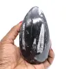 Orthoceras marrocos - 0