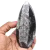 Orthoceras marrocos - 0