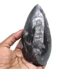 Orthoceras fósseis - 0