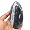 Fóssil de orthoceras de marrocos - 0