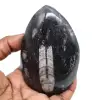 Ortóceras naturais - 0