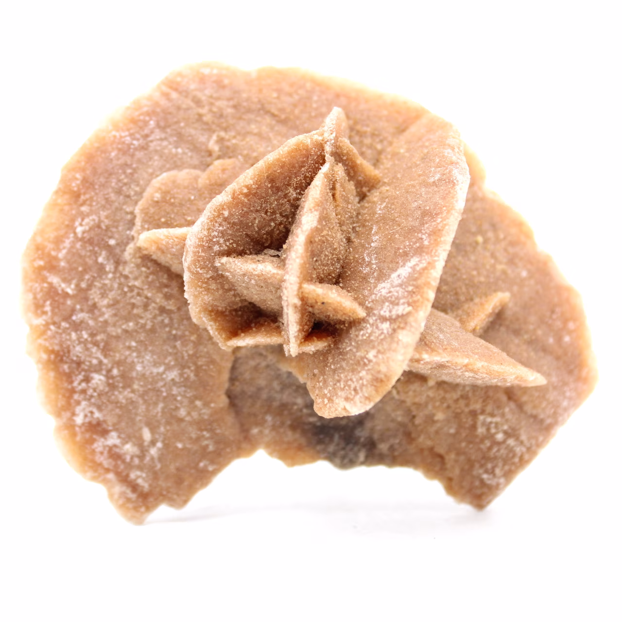 rosa de areia crua