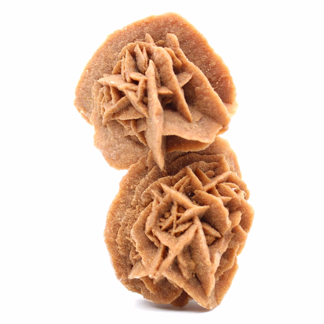 Rosa de areia natural crua