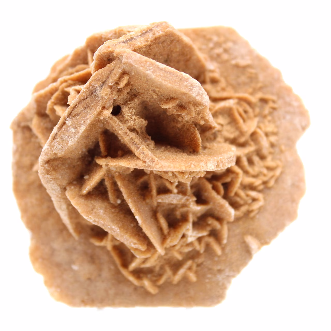 rosa de areia crua