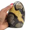 Septo ornamental - 0