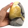 Septaria de coleta - 0