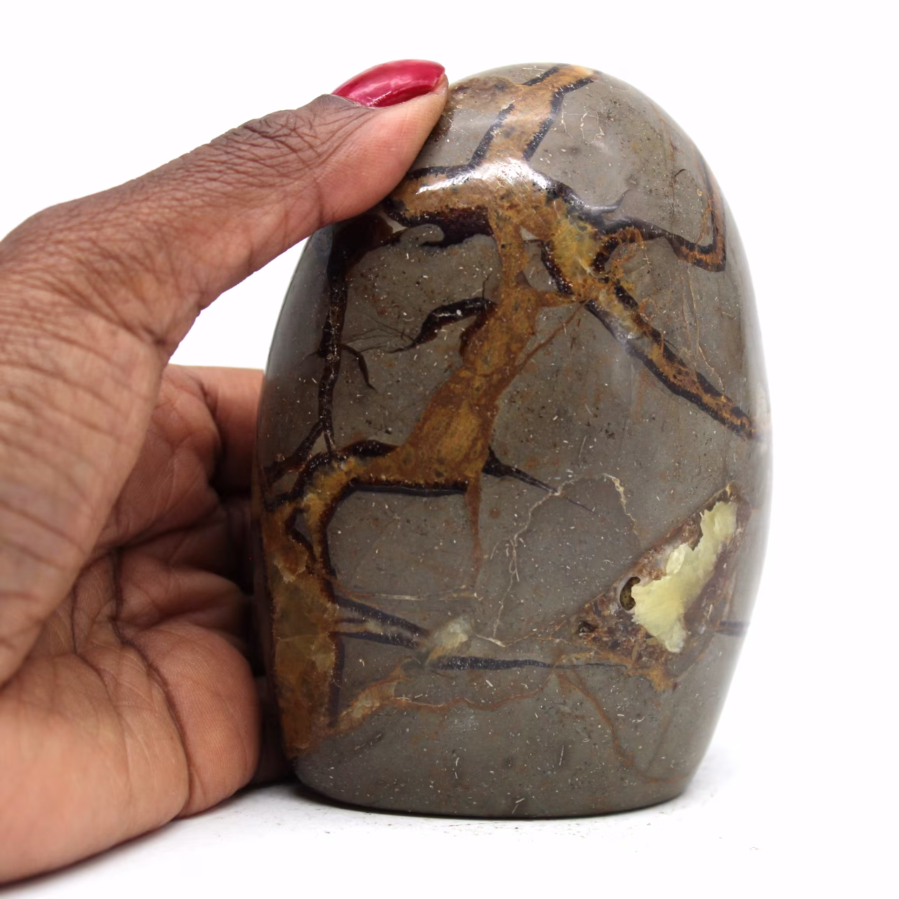 Pedra polida em septaria