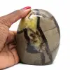 Septaria ornamental natural - 0
