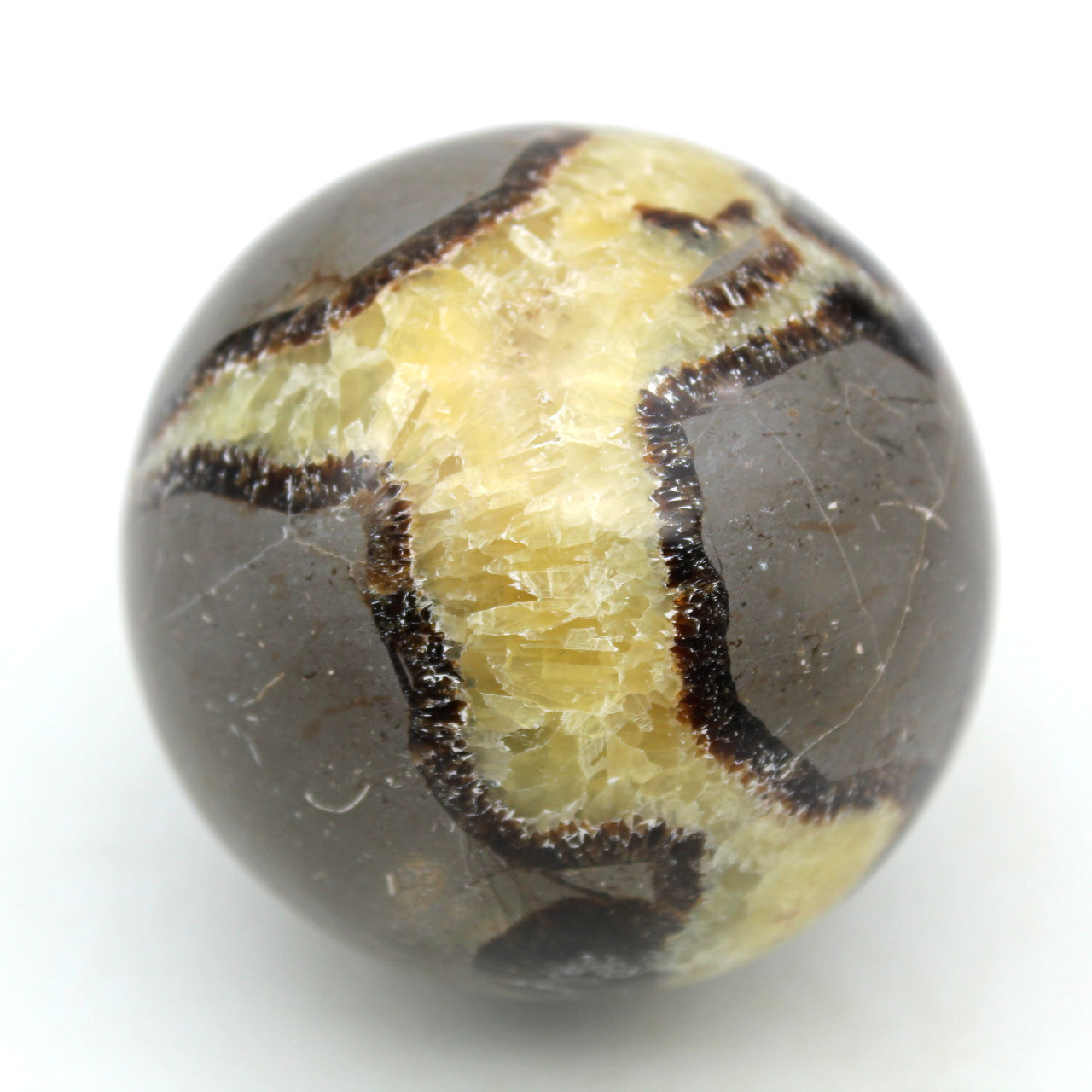 Esfera em septaria
