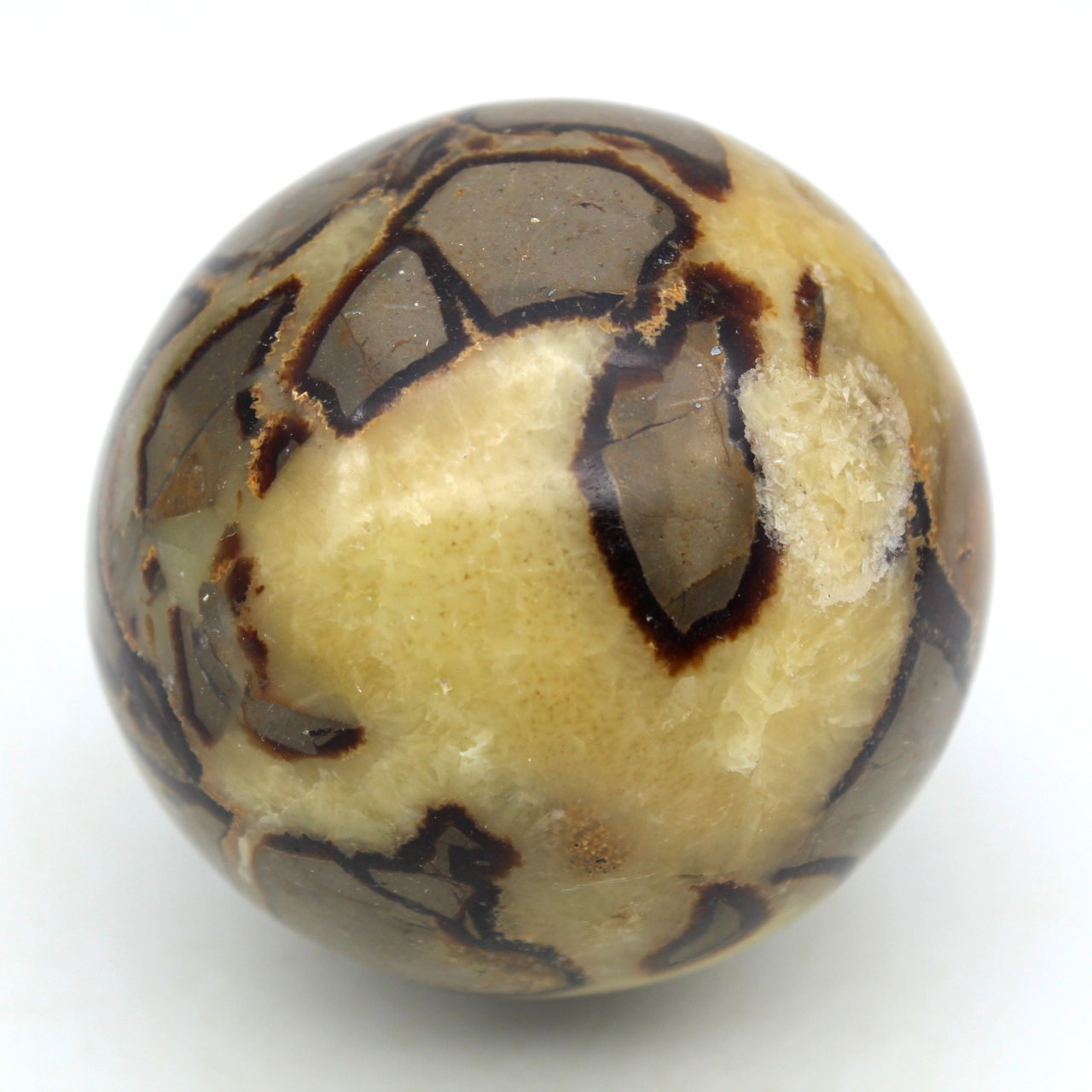 Esfera em septaria