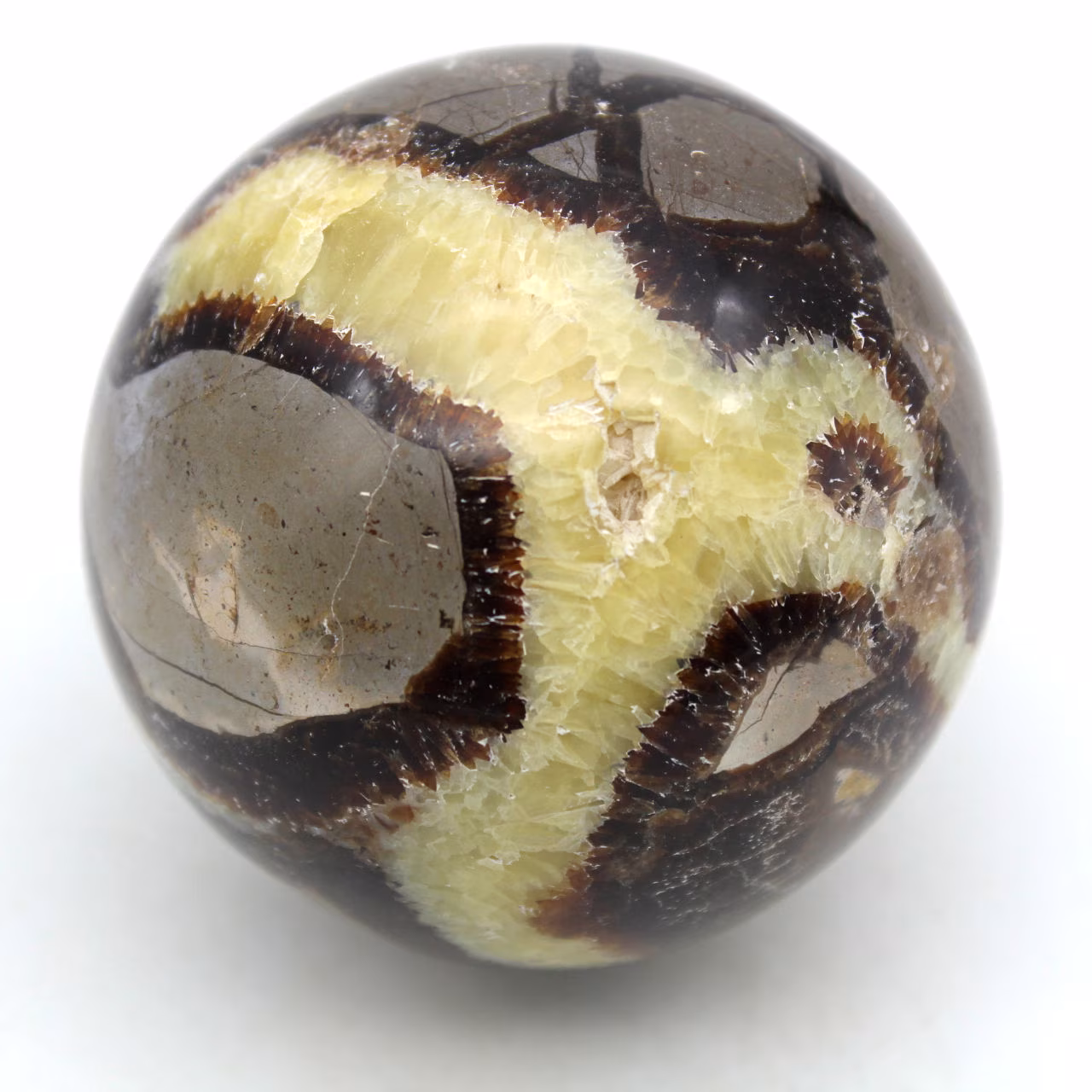 Esfera em septaria