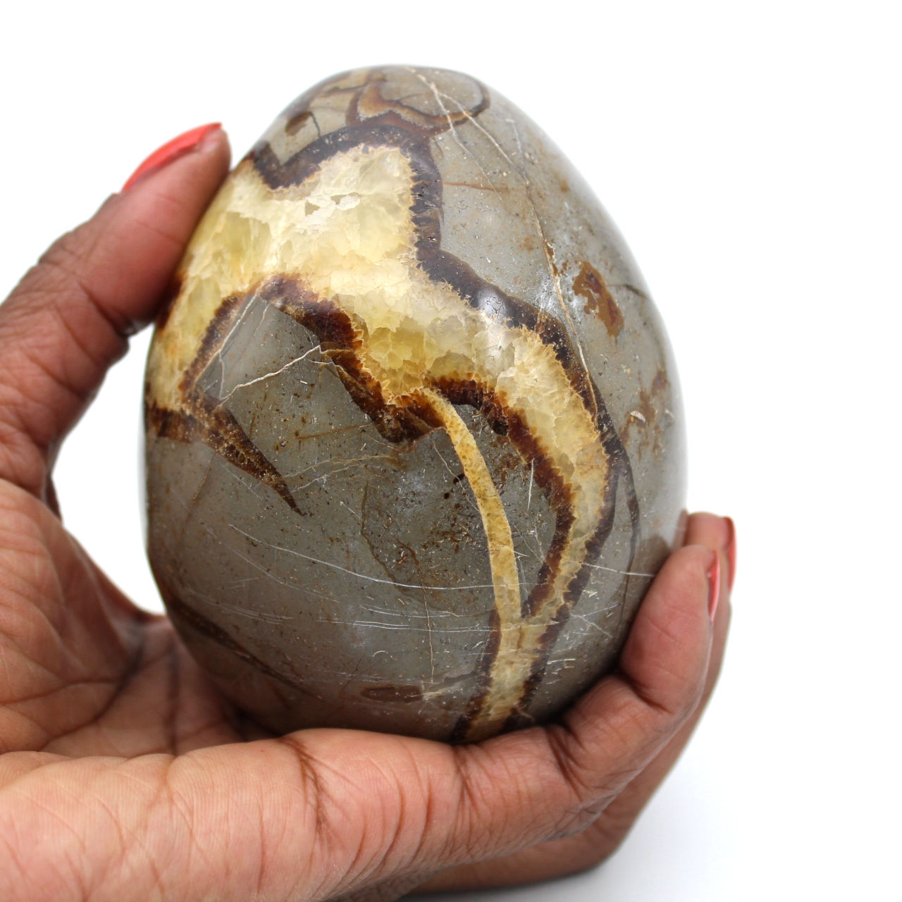Ovo mineral em septaria