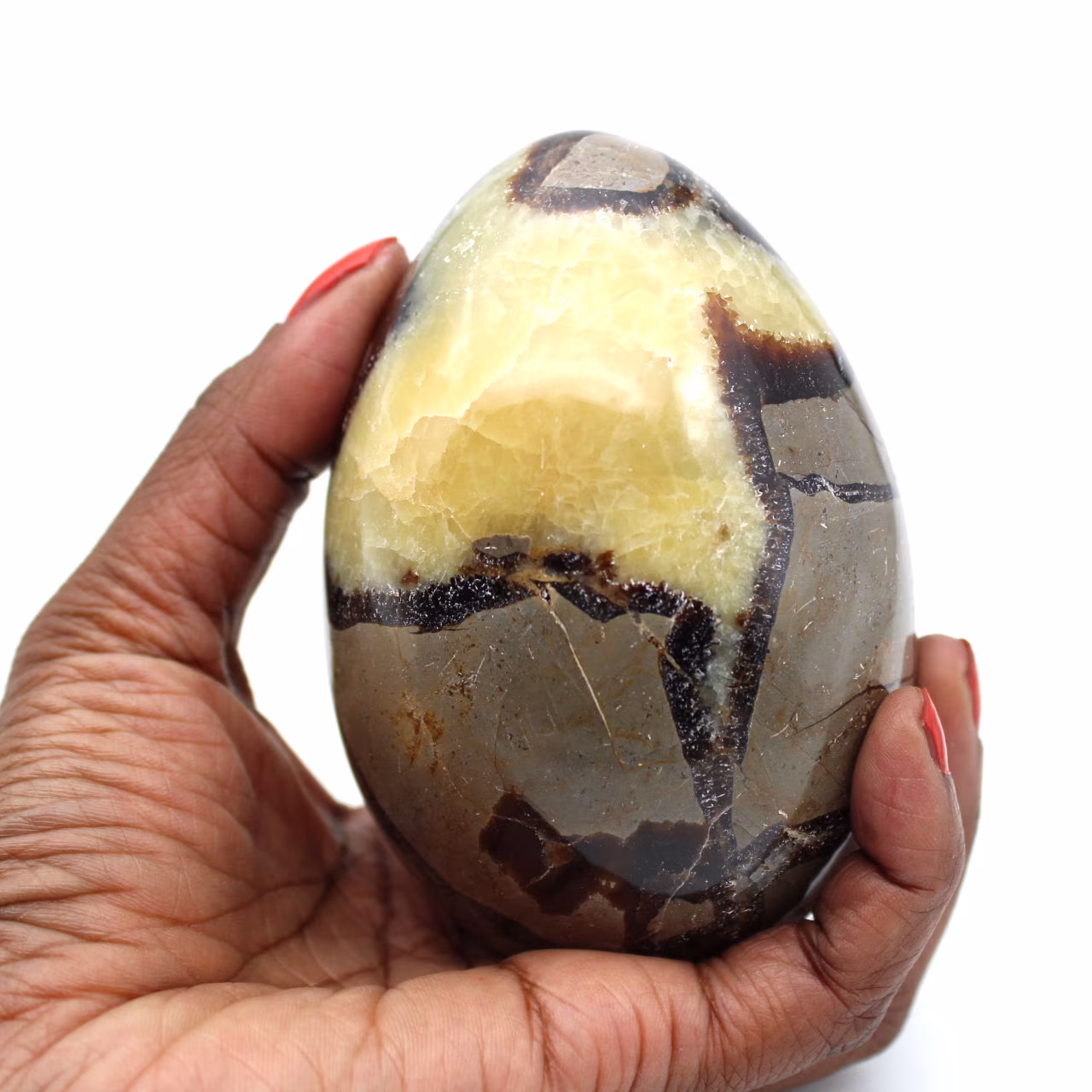Ovo mineral em septaria