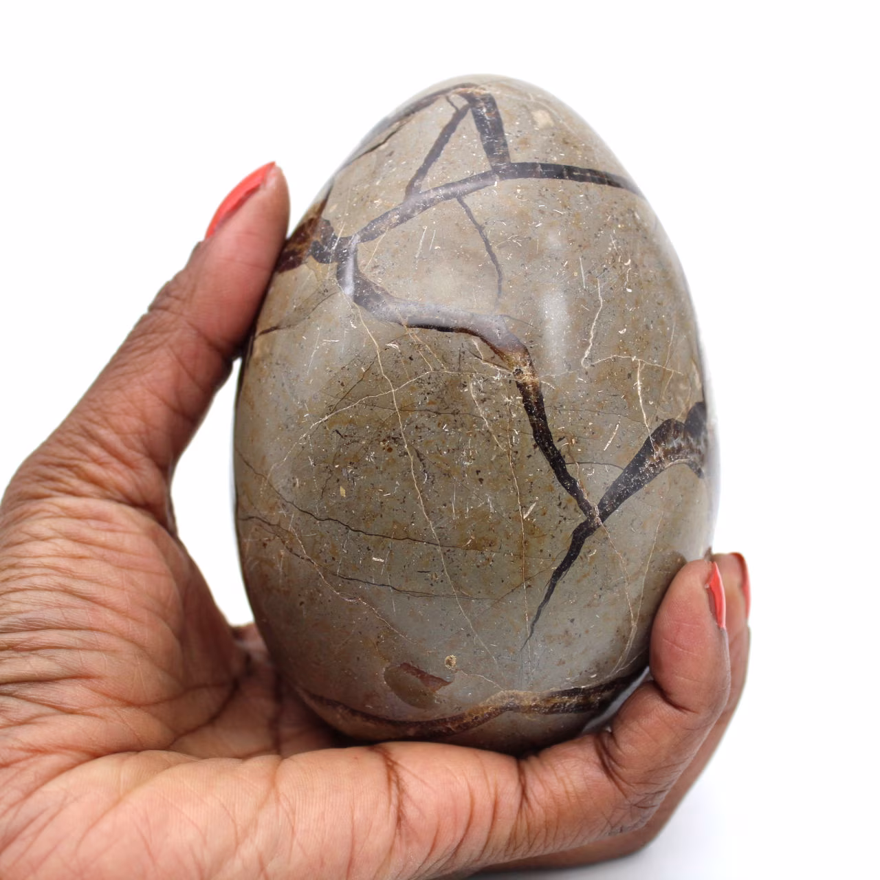 Ovo mineral em septaria
