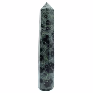 Prisma Kambam Jasper