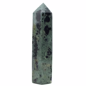 Prisma Kambam Jasper