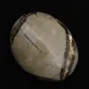 Seixos de septaria - 2