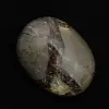 Seixos de septaria - 2