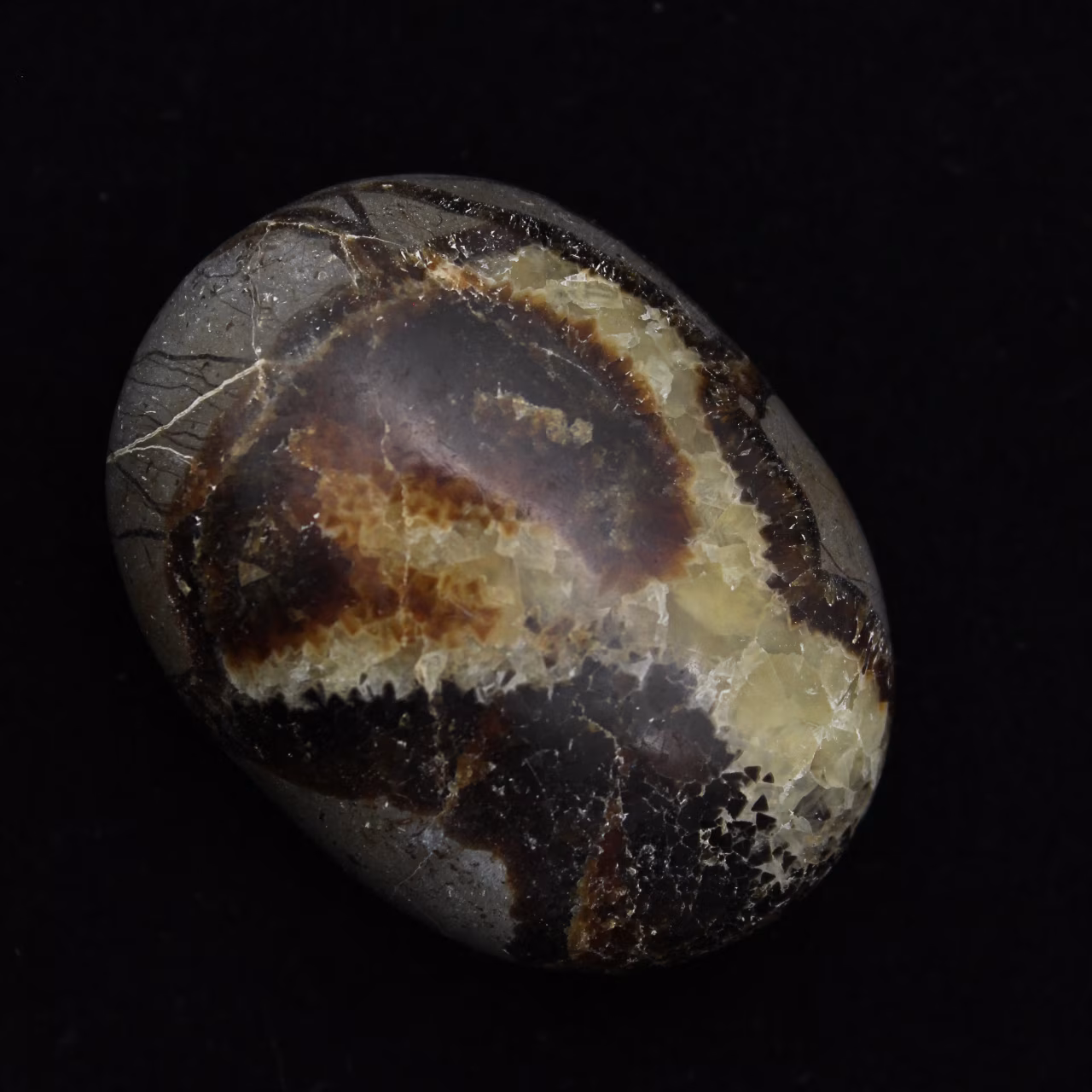 Seixos de septaria