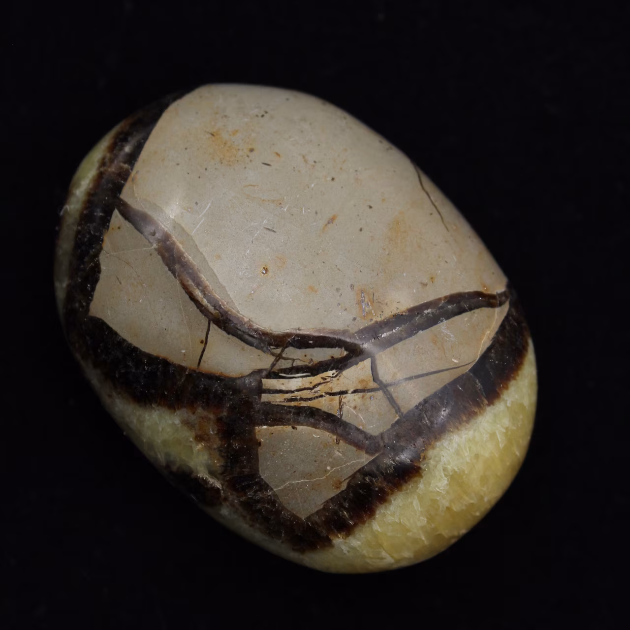 Seixos de septaria