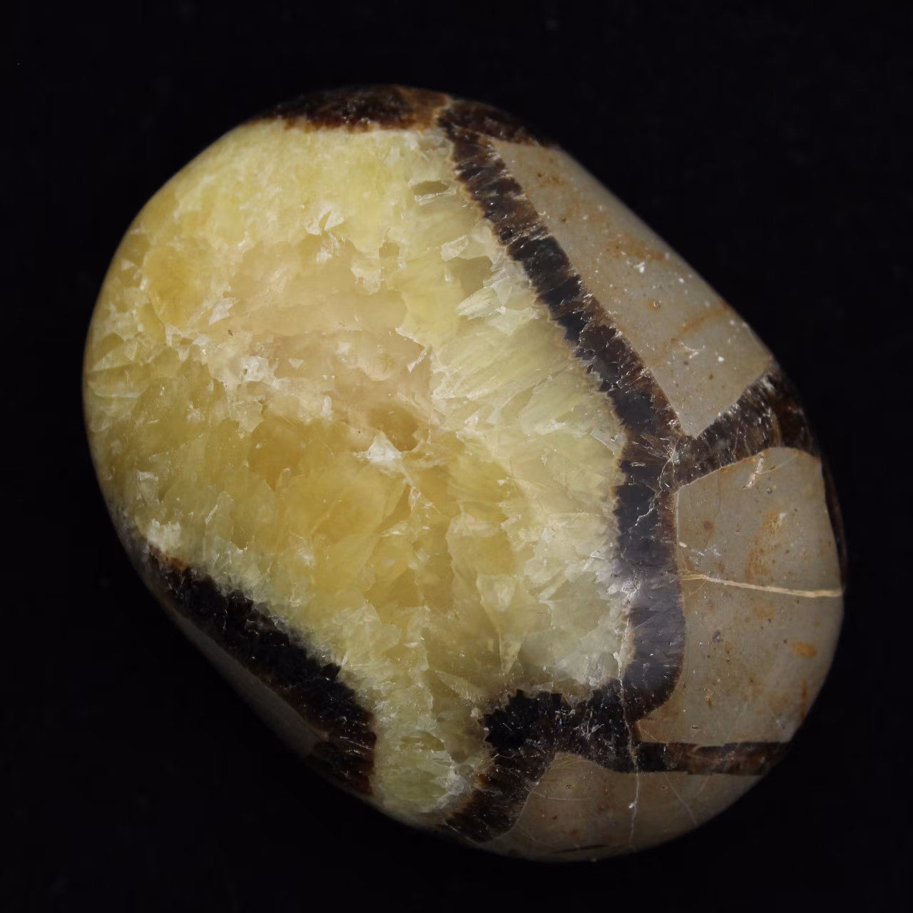 Seixos de septaria