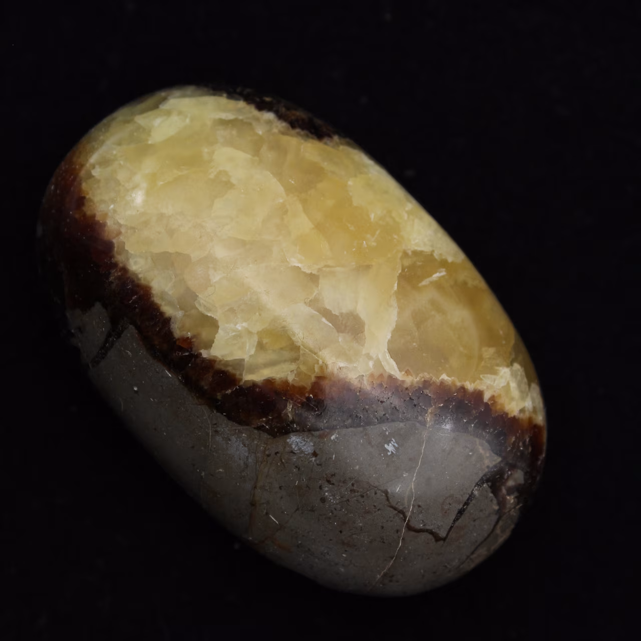 Seixos de septaria
