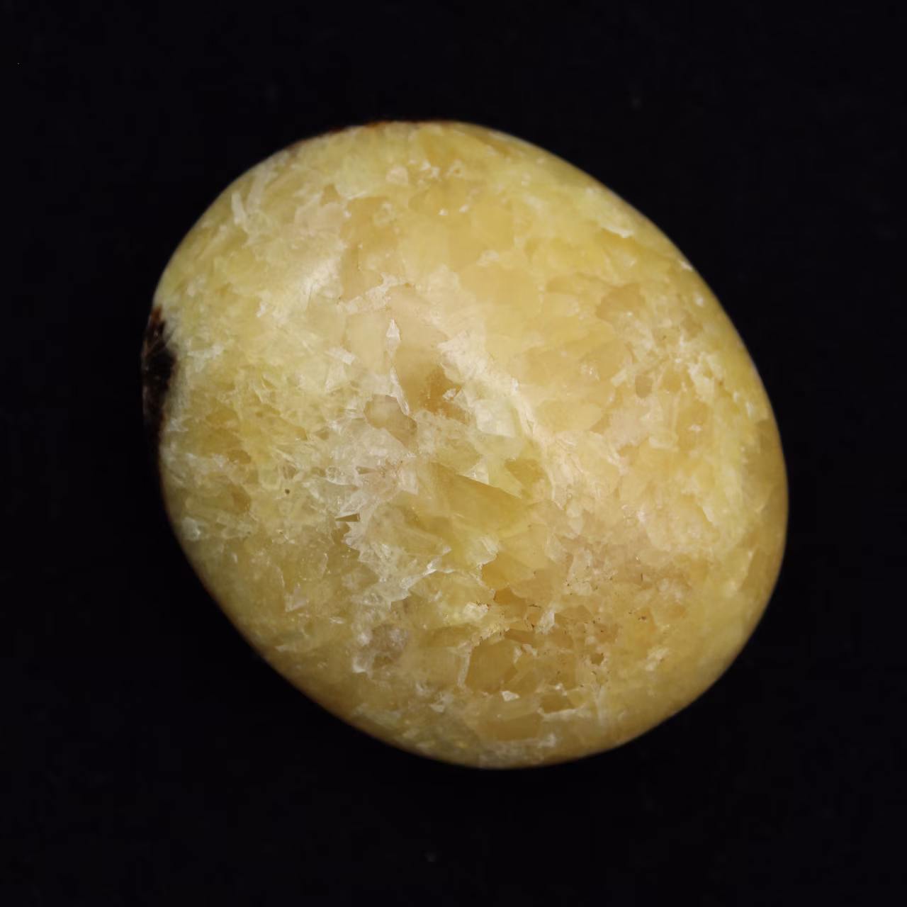 Seixos de septaria