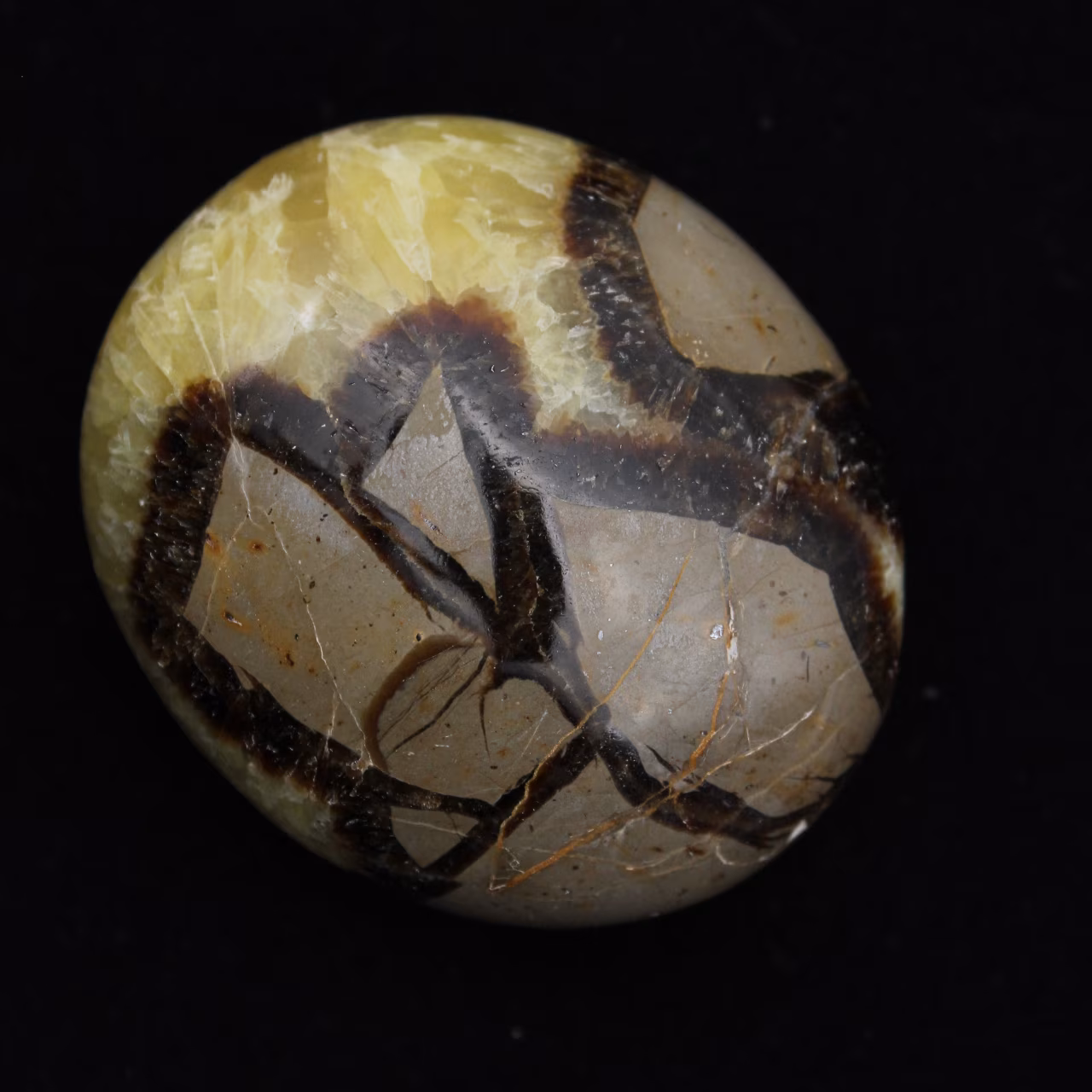 Seixos de septaria