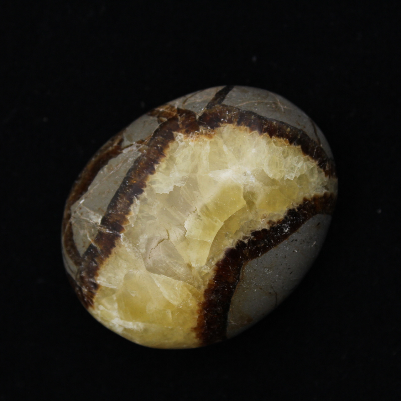 Seixos de septaria