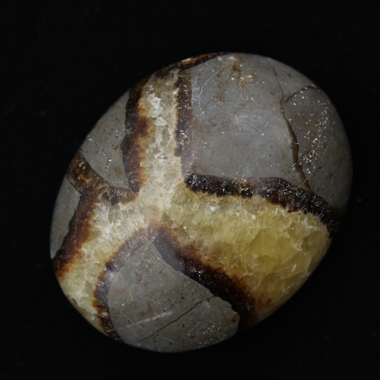 Seixos de septaria
