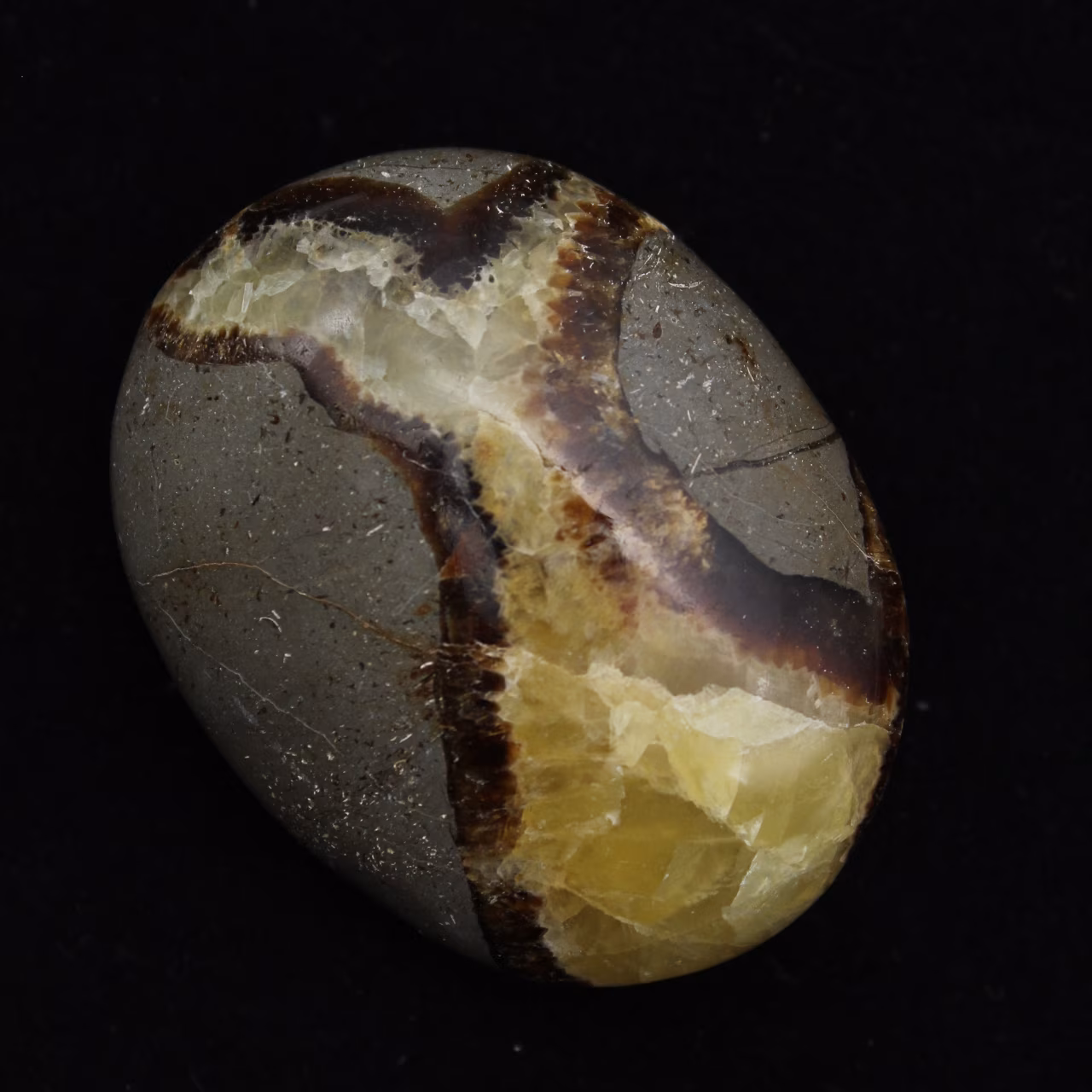 Seixos de septaria