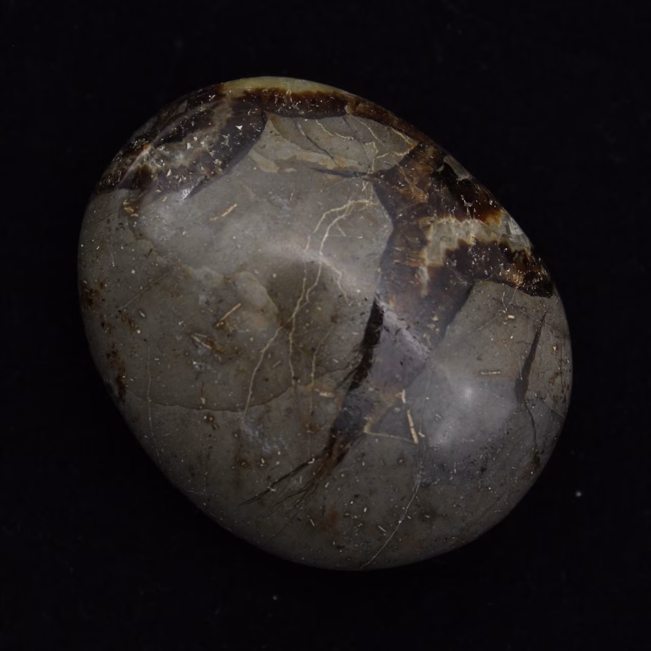 Seixos de septaria