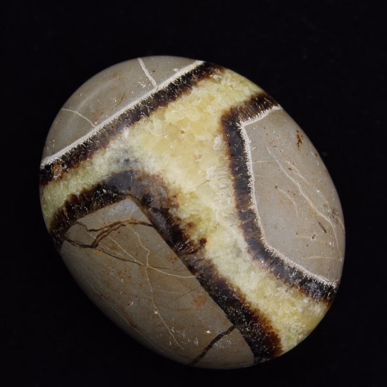 Seixos de septaria