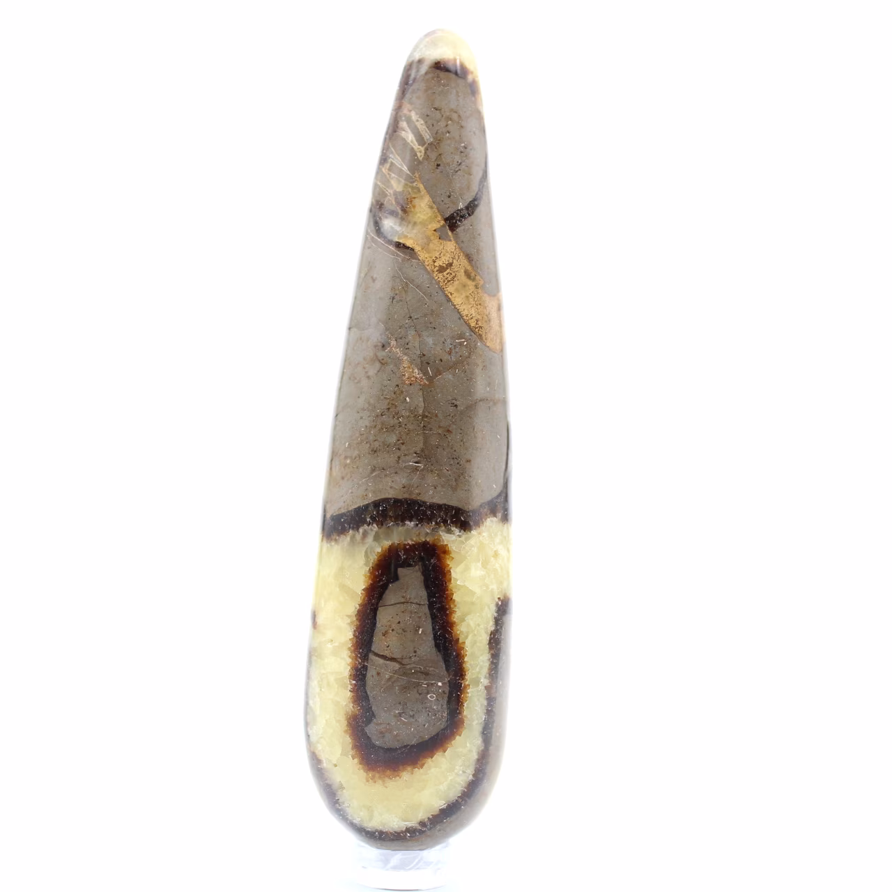 Cajado de Pedra Septariano