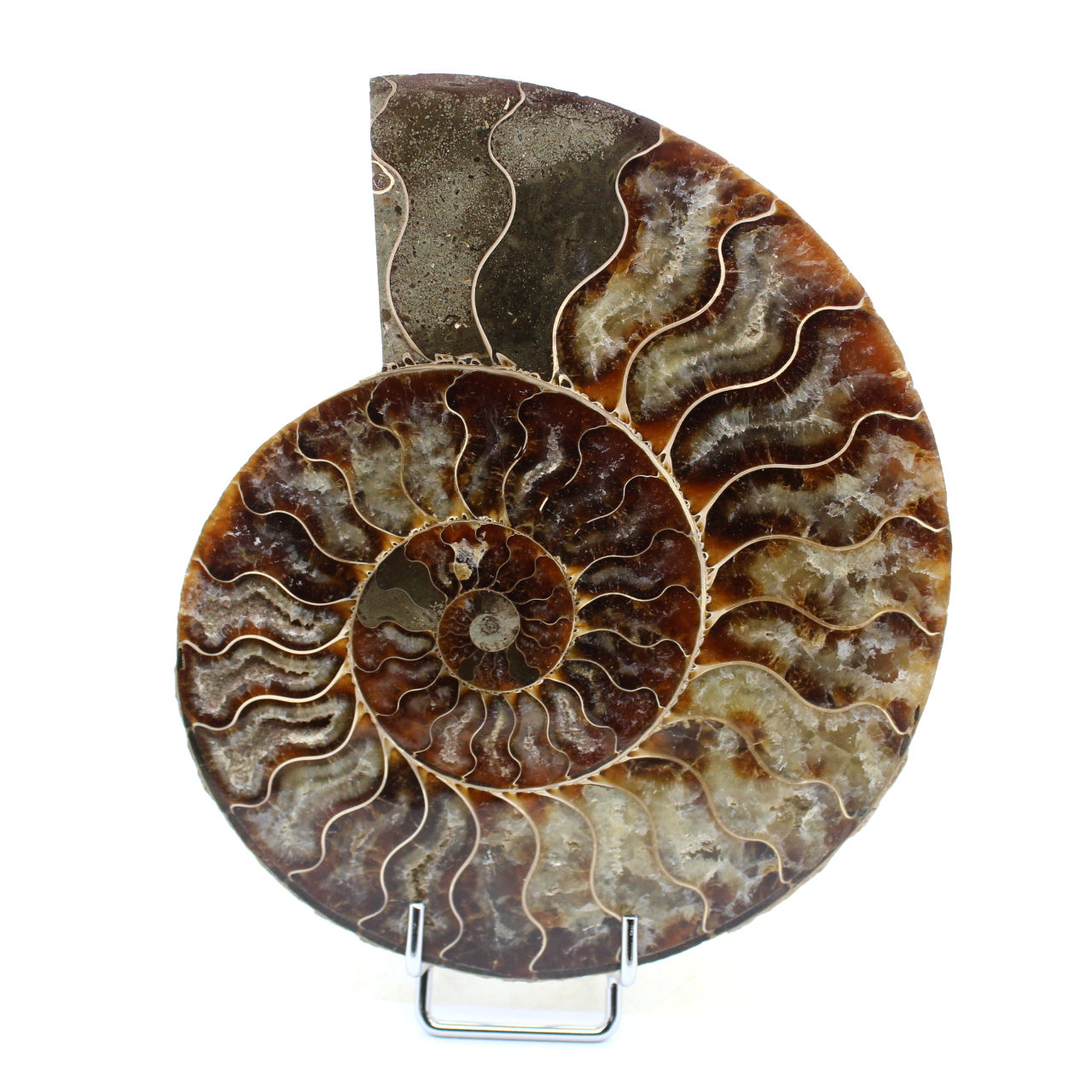 Amonita natural de madagascar