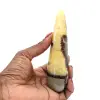 Cajado da Septaria Polida - 1