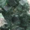 Cristais cúbicos de fluorita na ganga - 9