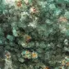 Fluorita cristalizada cúbica - 6
