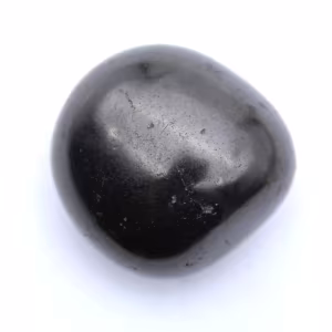 Seixo shungita