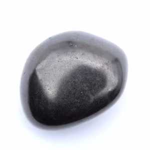 Seixo shungita
