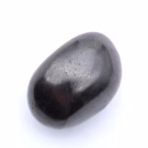 Seixo shungita