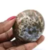 Seixo orbicular de jaspe - 0