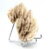 Barita branca - 3