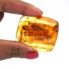 Âmbar amarelo - 0