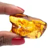 Âmbar - 0