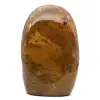 Forma polida de jaspe polido - 0