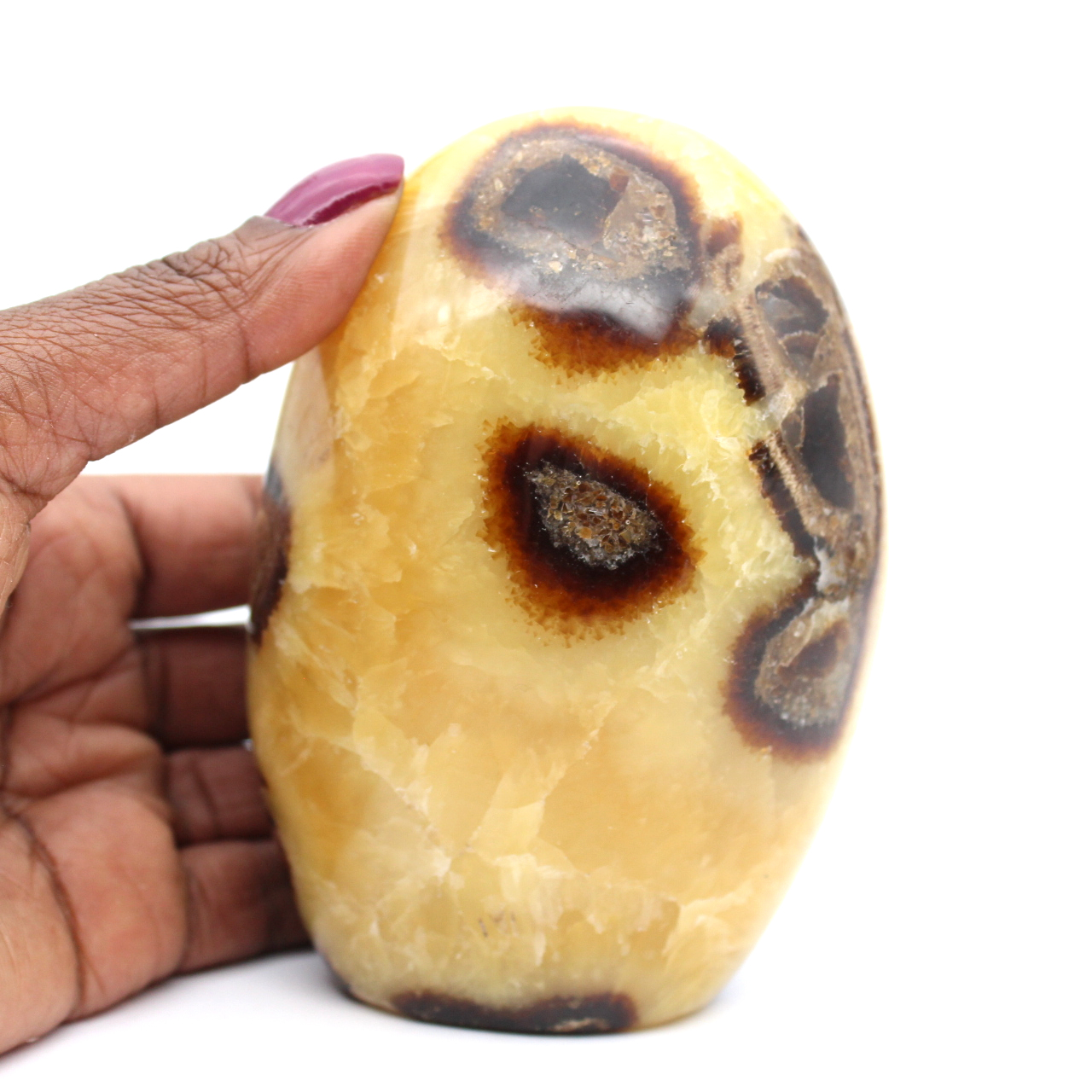 Pedra septaria polida de madagascar